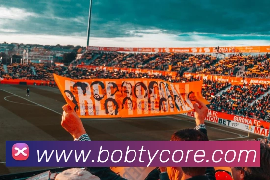 BOB体育发展历程